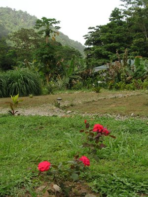 gardens